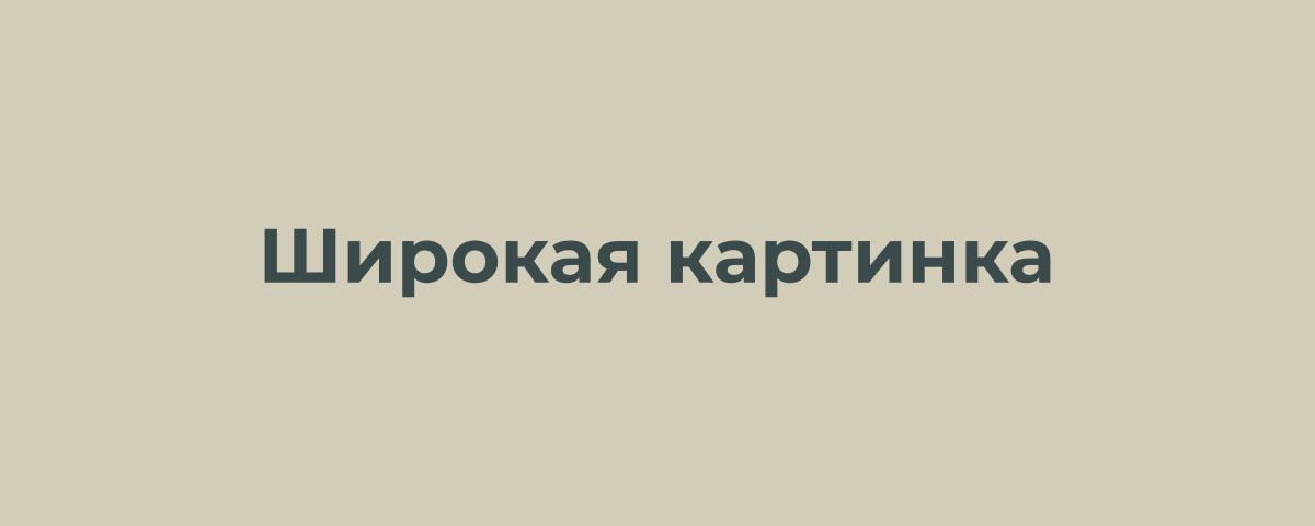 Широкая картинка на всю колонку